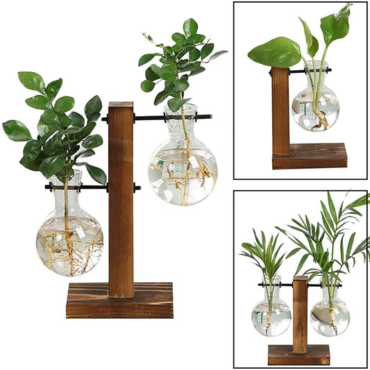 Premium Glass Pot & Wooden Stand Set – Elevate Your Plant Display