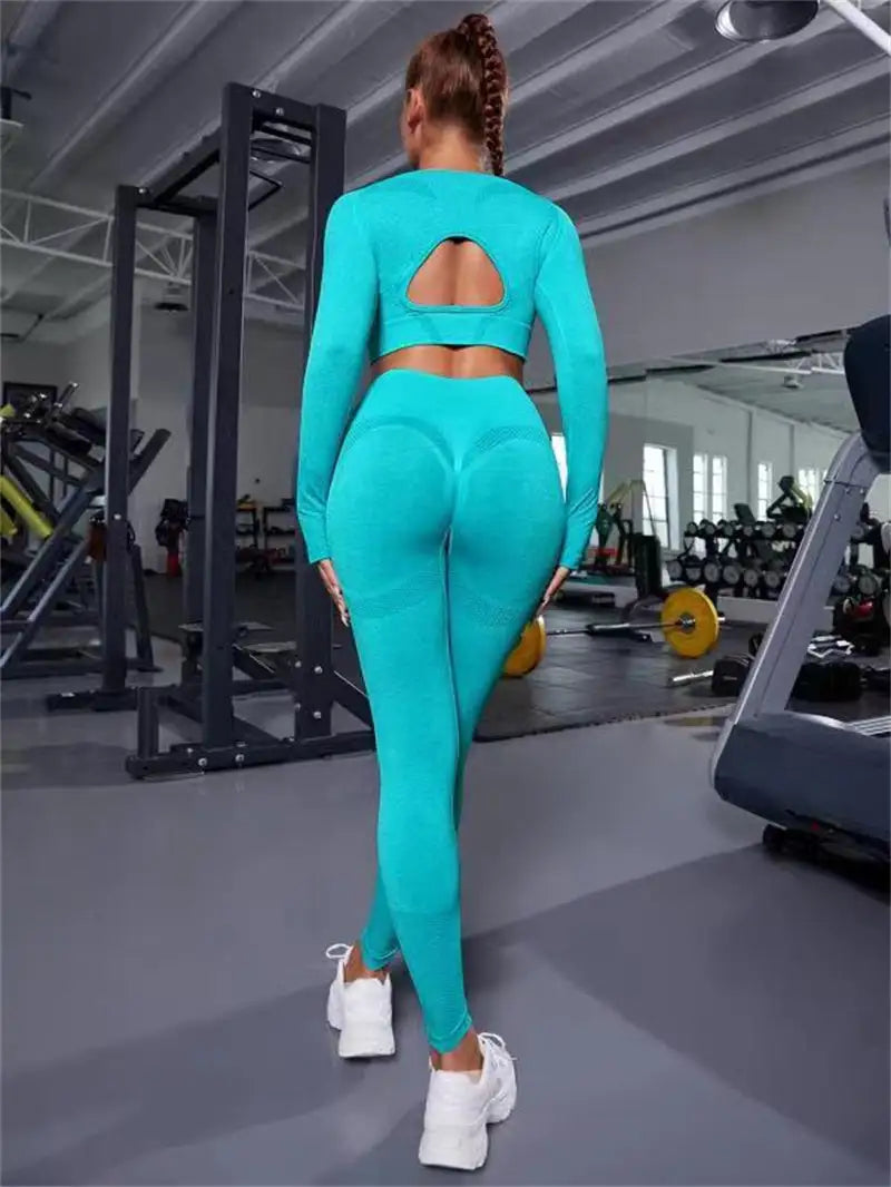 2-piece seamless fitness leggings set for women