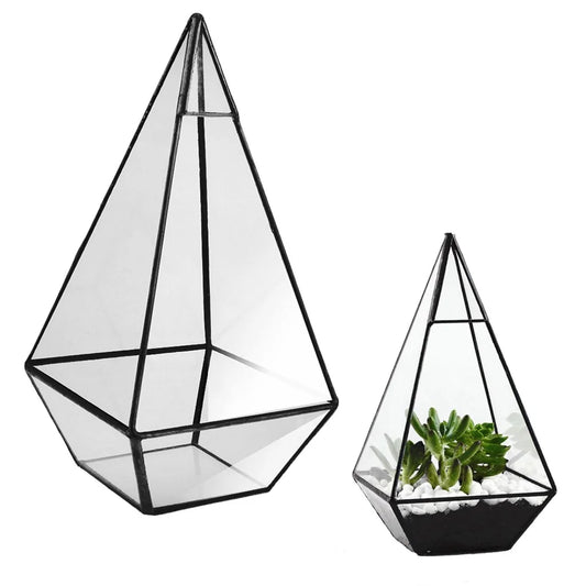 Geometric succulent terrarium for stylish home décor