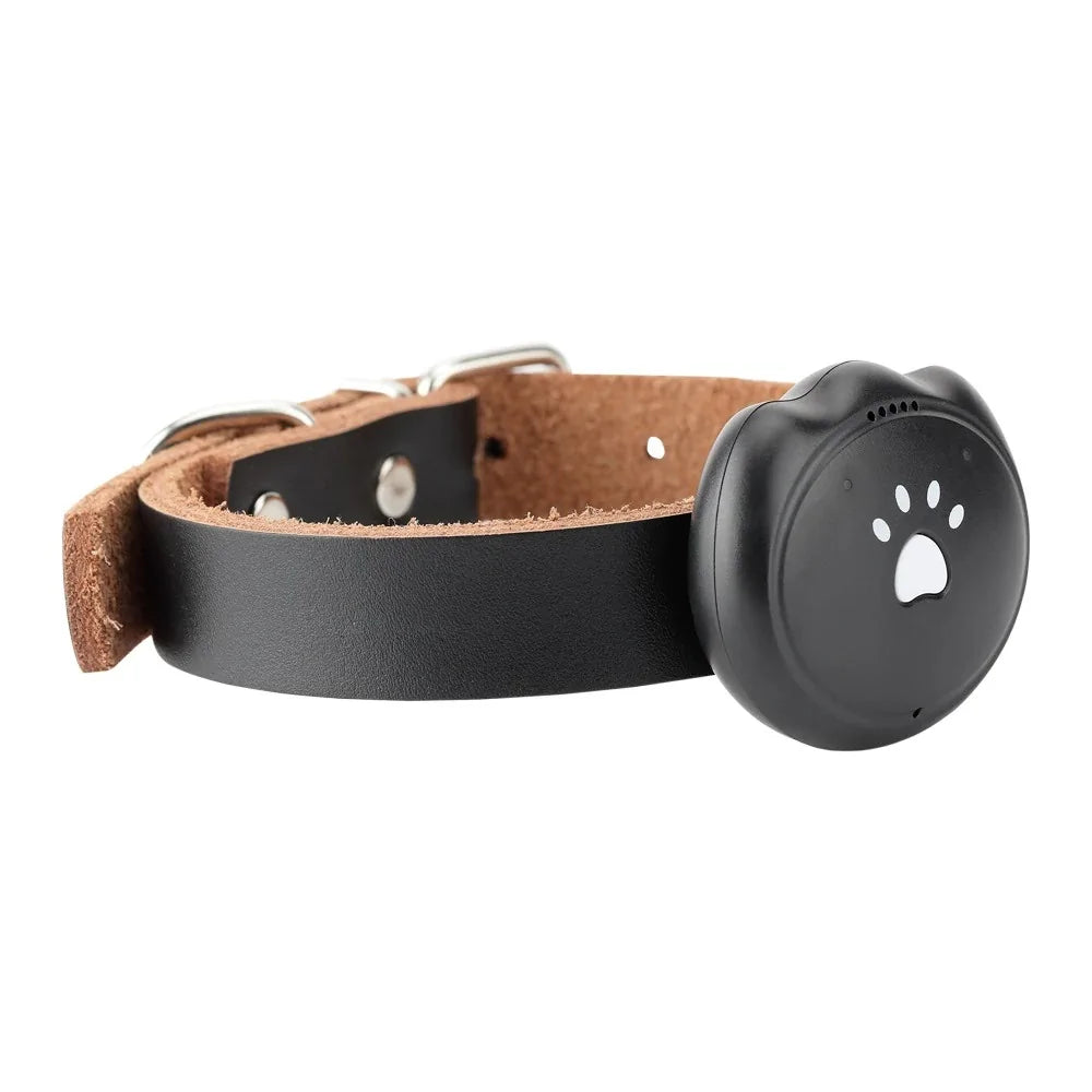 Waterproof Mini GPS Collar by Krystina Trendify for real-time tracking and enhanced security.