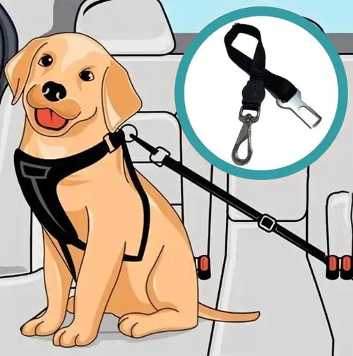 Adjustable pet seatbelt by Krystina Trendify for safe car travel